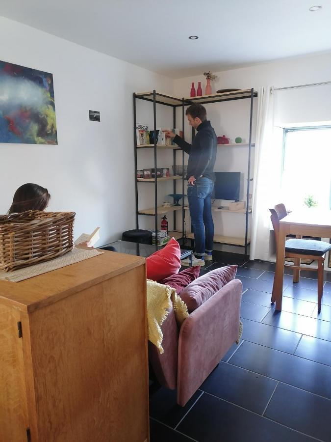Gite La Maison La Saint-Aubin-d'Aubigne Buitenkant foto